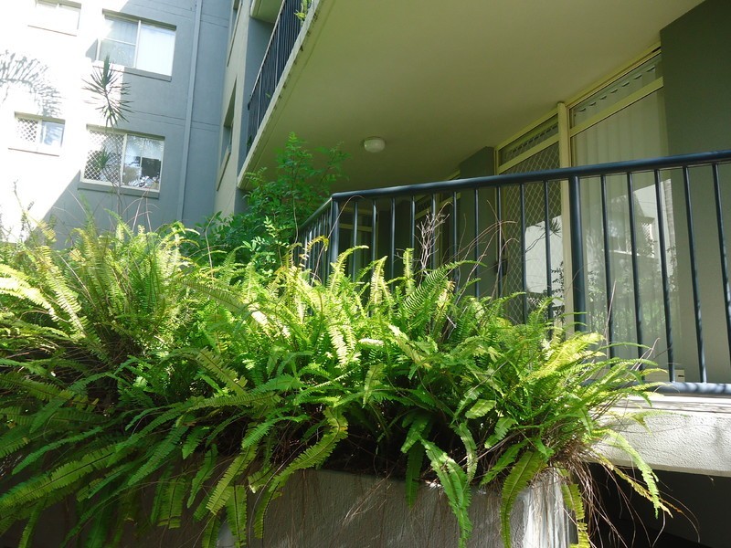 7/418 Marine Parade, Biggera Waters QLD 4216