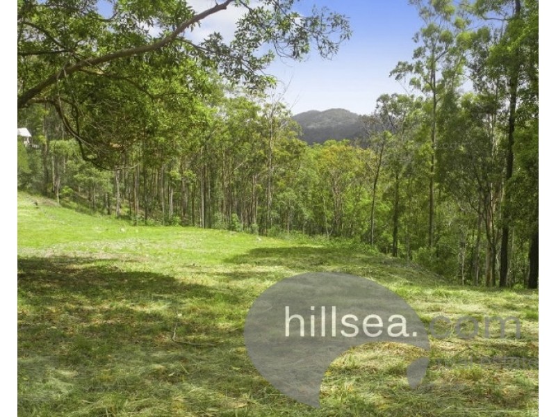28 Solomon Lane, Wongawallan QLD 4210