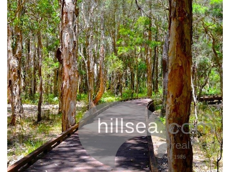 7 Hansford Road, Coombabah QLD 4216