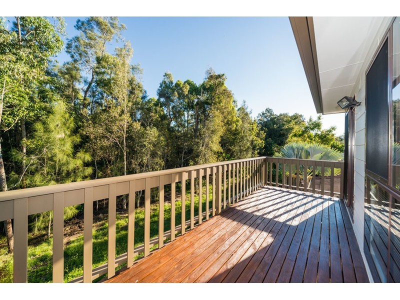 49 Numbat Court East, Coombabah QLD 4216