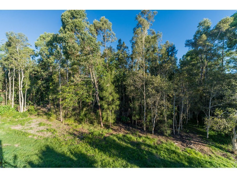 49 Numbat Court East, Coombabah QLD 4216