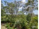 49 Highvale Drive, Helensvale QLD 4212