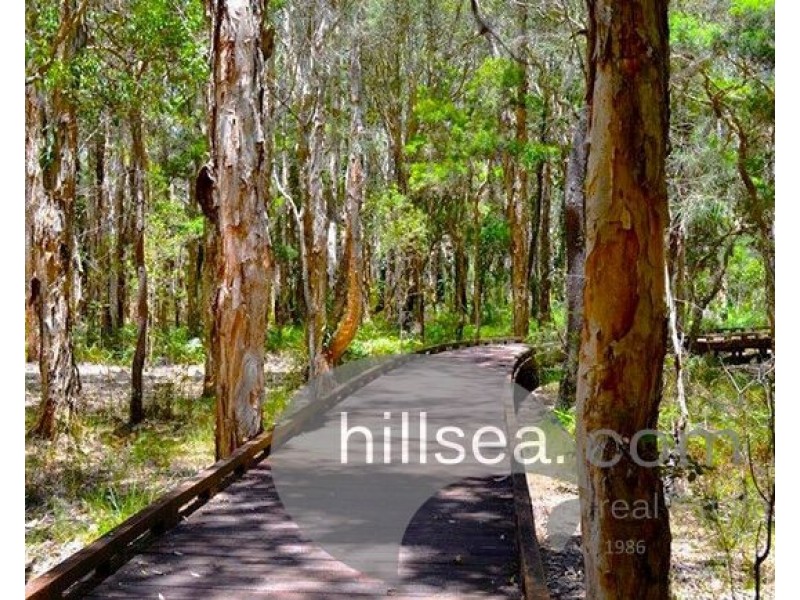 31 Georgia Street, Coombabah QLD 4216