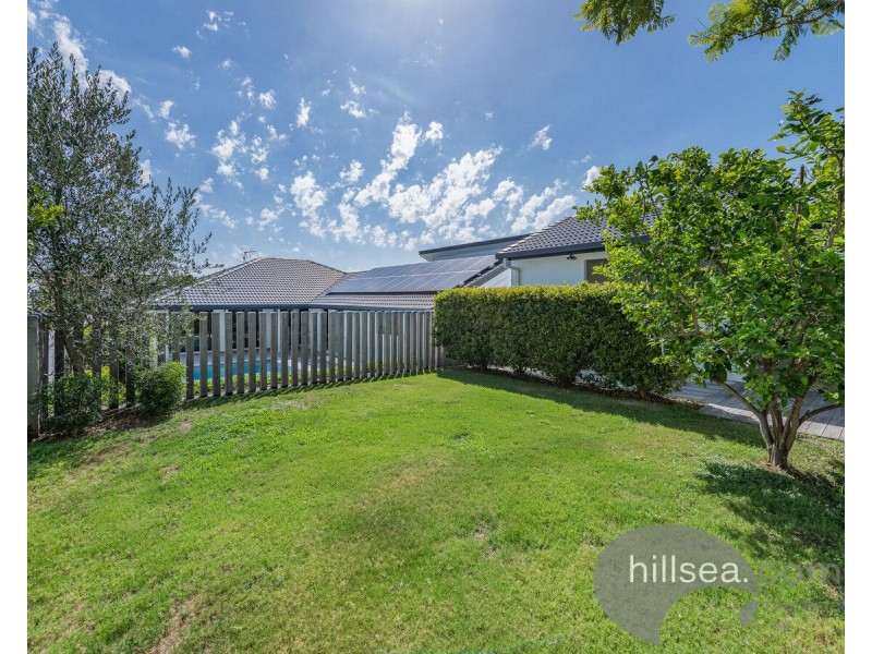 359 Bayview Street, Hollywell QLD 4216
