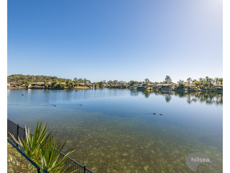 2/33 Kangaroo Avenue, Coombabah QLD 4216