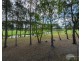 25 Shinnecock Close, Hope Island QLD 4212