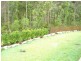 5 Calypso Court, Oxenford QLD 4210