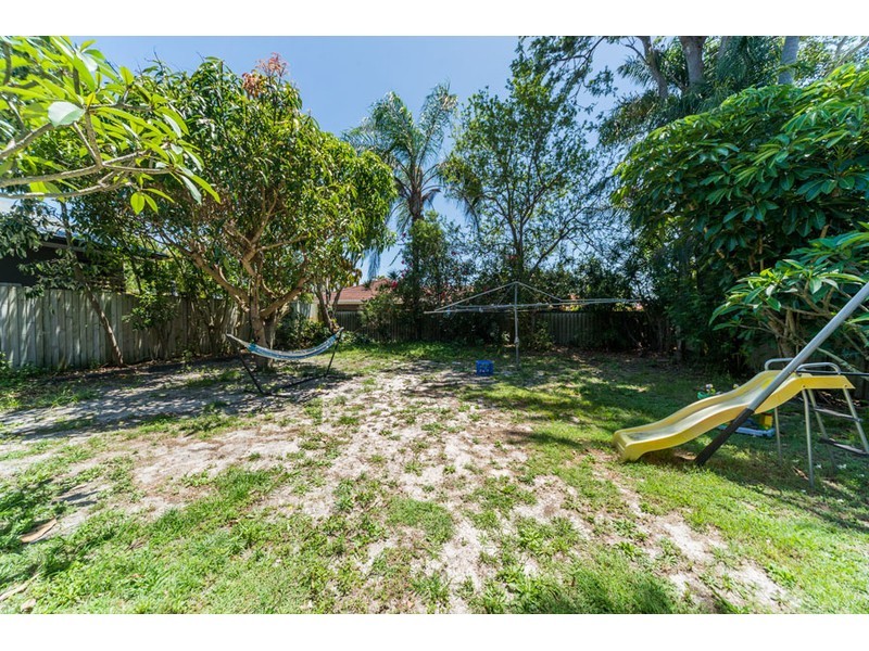 19 Bluegum Avenue, Hollywell QLD 4216