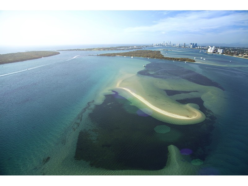 93 Sheehan Avenue, Hope Island QLD 4212