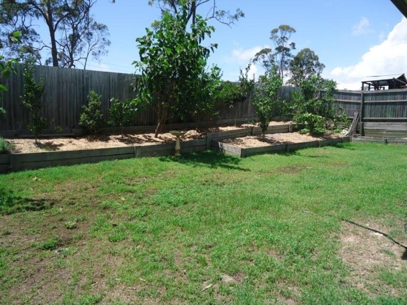 24 Goldcrest Drive, Upper Coomera QLD 4209