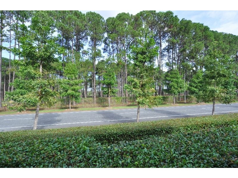 6/38 Caseys Road, Hope Island QLD 4212