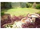 17 Rason Way, Coombabah QLD 4216
