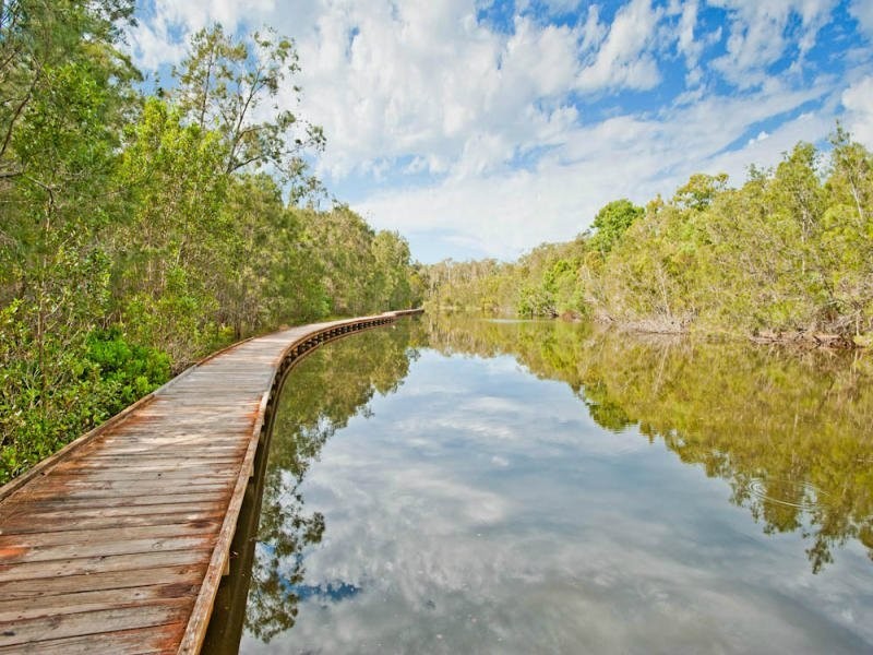 35 Georgia Street, Coombabah QLD 4216