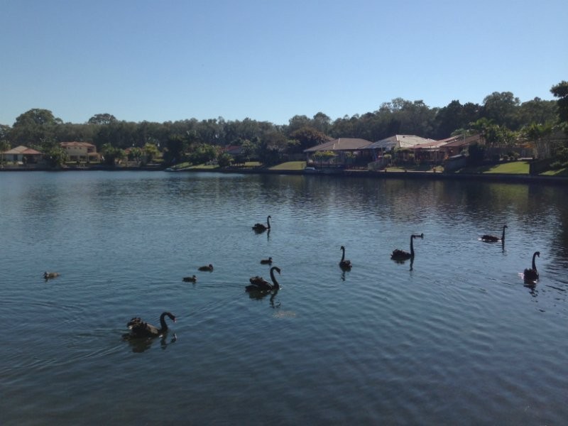 5 Lefroy Drive, Coombabah QLD 4216