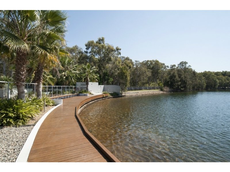 31/181 Lae Drive, Coombabah QLD 4216