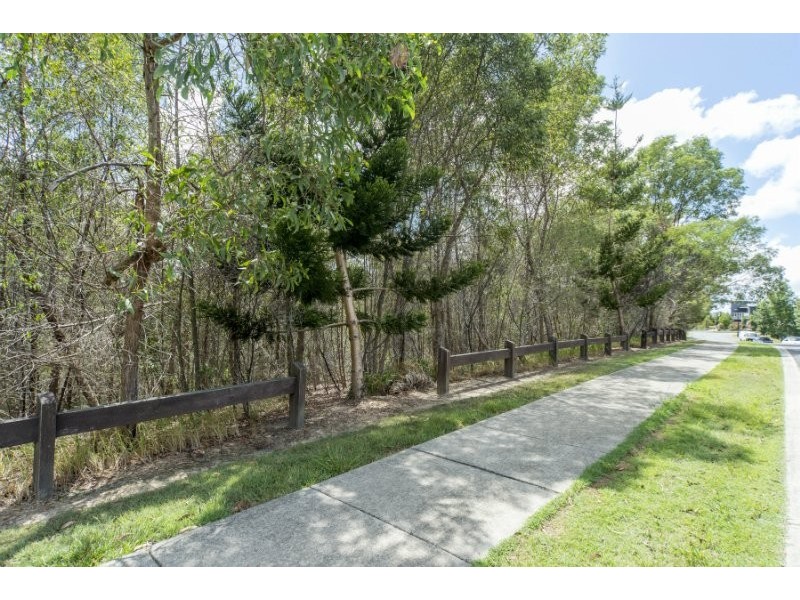12 Toolangi Court, Upper Coomera QLD 4209