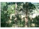 88-104 Vonda Youngman Drive, Tamborine QLD 4270