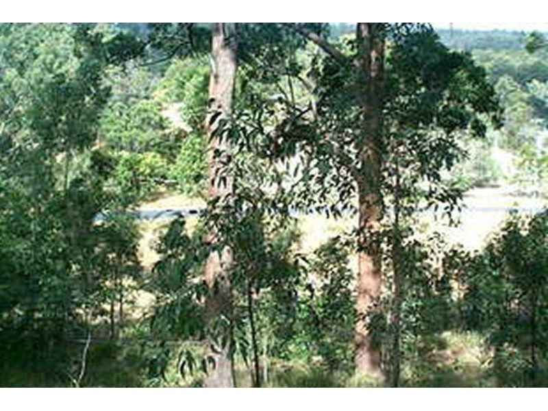 88-104 Vonda Youngman Drive, Tamborine QLD 4270
