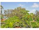 1/31 Eider Avenue, Paradise Point QLD 4216