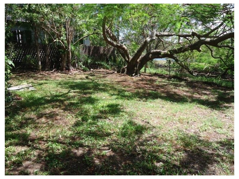 19 Gilmour Lane, Southport QLD 4215