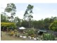 24 Manra Way, Pacific Pines QLD 4211