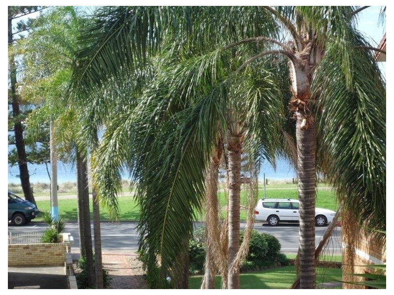 8/496 Marine Parade, Biggera Waters QLD 4216