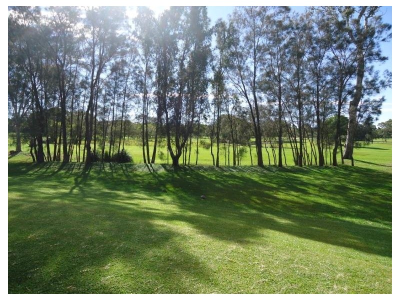 7 Heywood Place, Helensvale QLD 4212