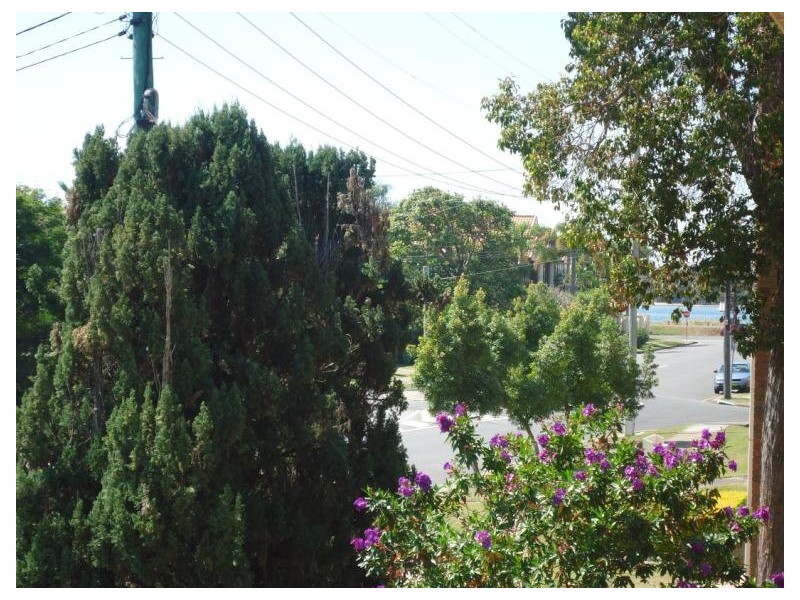 5/12 Parr Street, Biggera Waters QLD 4216