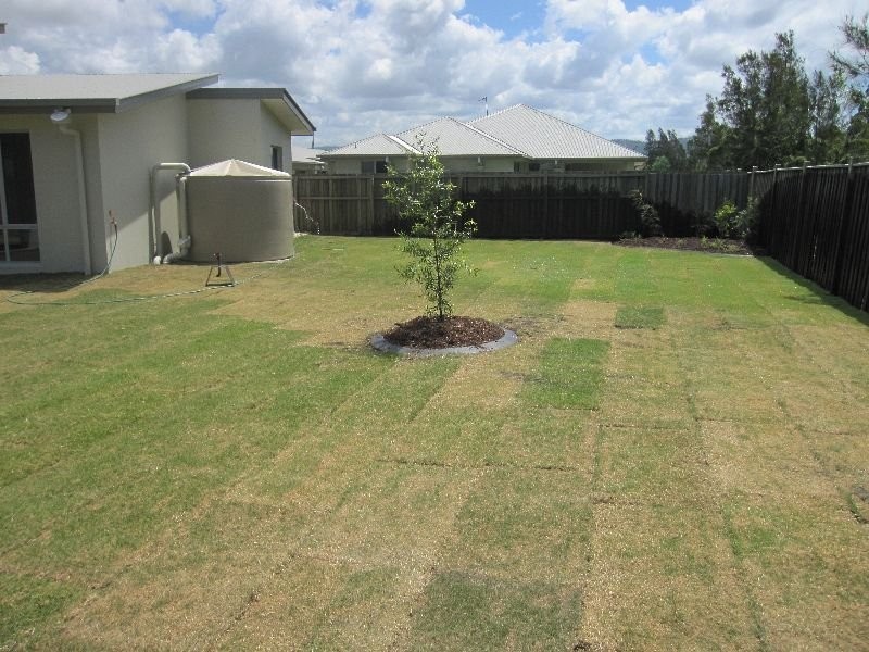 6 Lillypilly Court, Helensvale QLD 4212