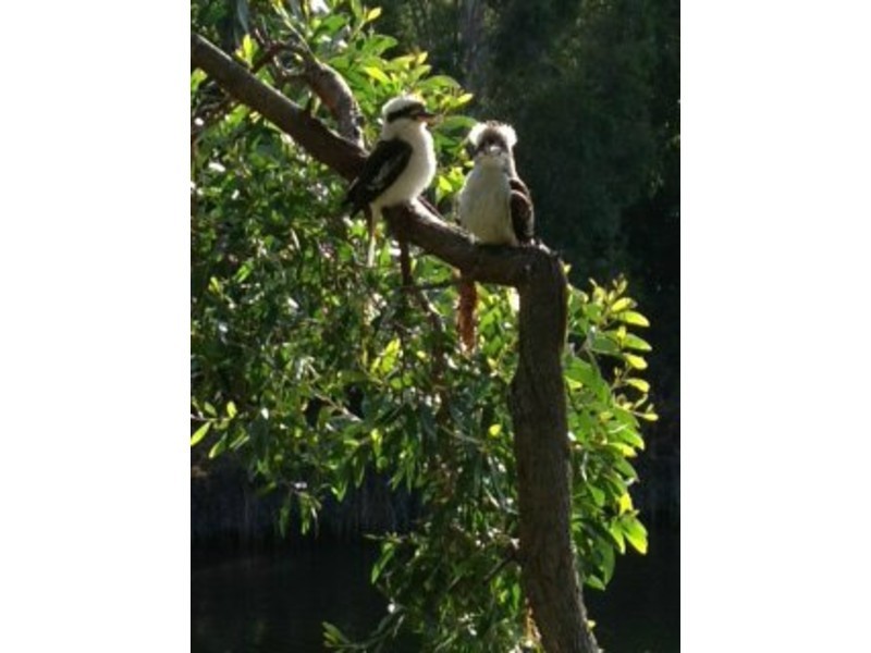 2/88 Kangaroo Avenue, Coombabah QLD 4216