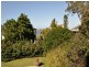 19 Dunnes Avenue, Hope Island QLD 4212