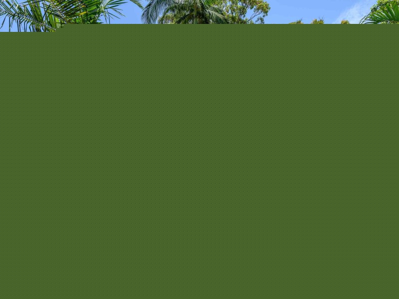 86 Jacaranda Avenue, Hollywell QLD 4216