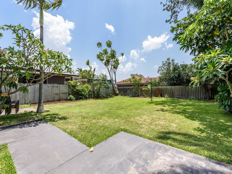 19 Bluegum Avenue, Hollywell QLD 4216