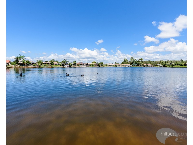 1/8 Waterbird Court, Coombabah QLD 4216