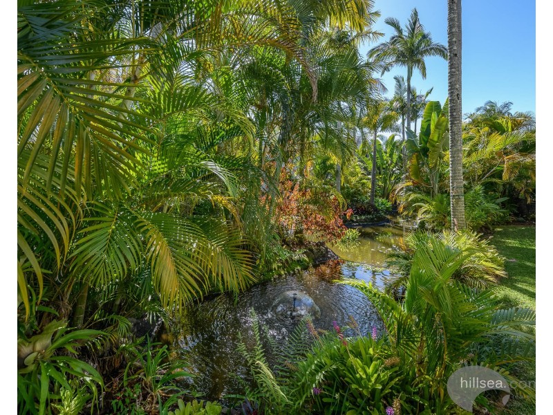 1/41A Broadwater Street, Runaway Bay QLD 4216