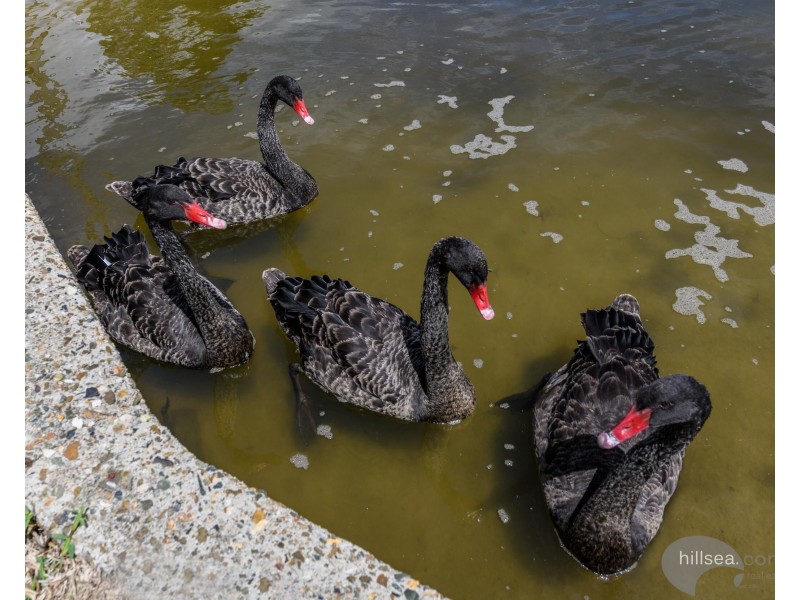 24/76 Bayview Street, Runaway Bay QLD 4216