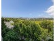 106/43 Harbour Town Drive, Biggera Waters QLD 4216