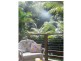 Eumundi QLD 4562