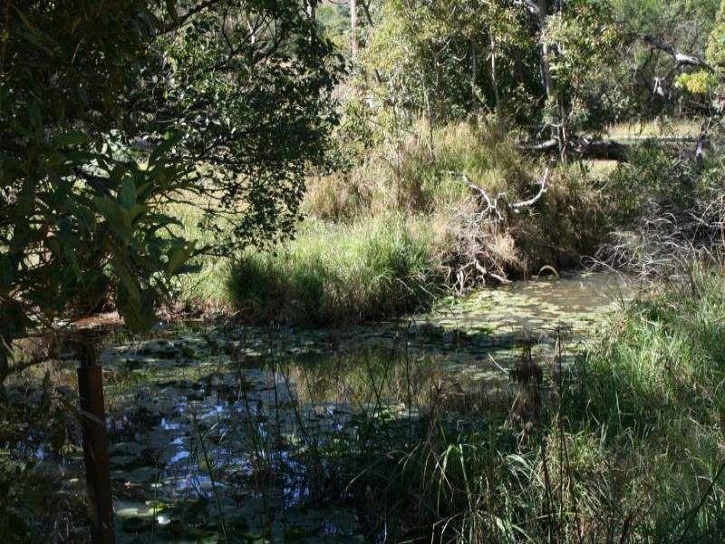Cooroy QLD 4563
