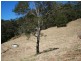 Cooroy QLD 4563