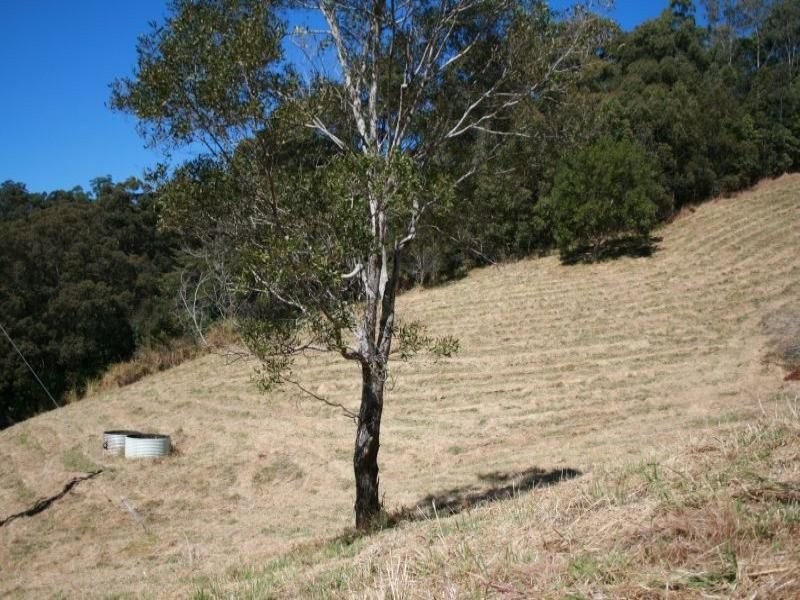 Cooroy QLD 4563
