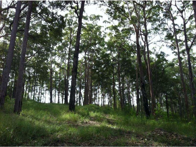 20 Dean Road, Verrierdale QLD 4562