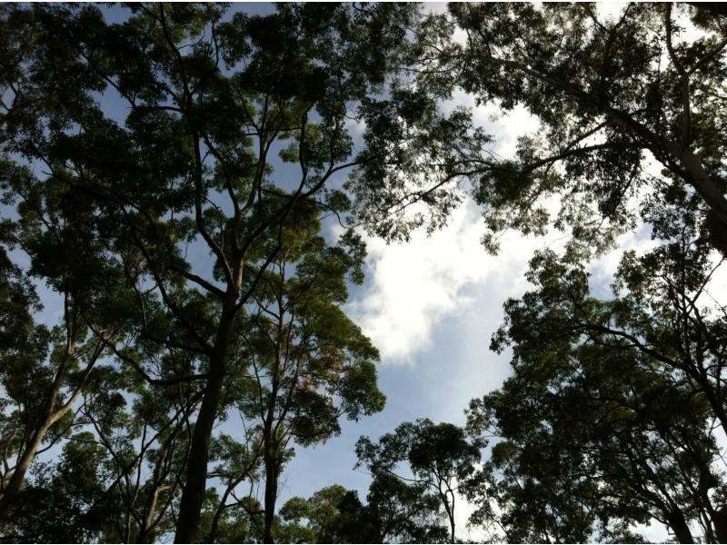 20 Dean Road, Verrierdale QLD 4562
