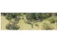 Doonan QLD 4562