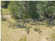 Doonan QLD 4562