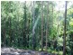 Doonan QLD 4562