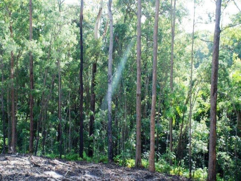 Doonan QLD 4562