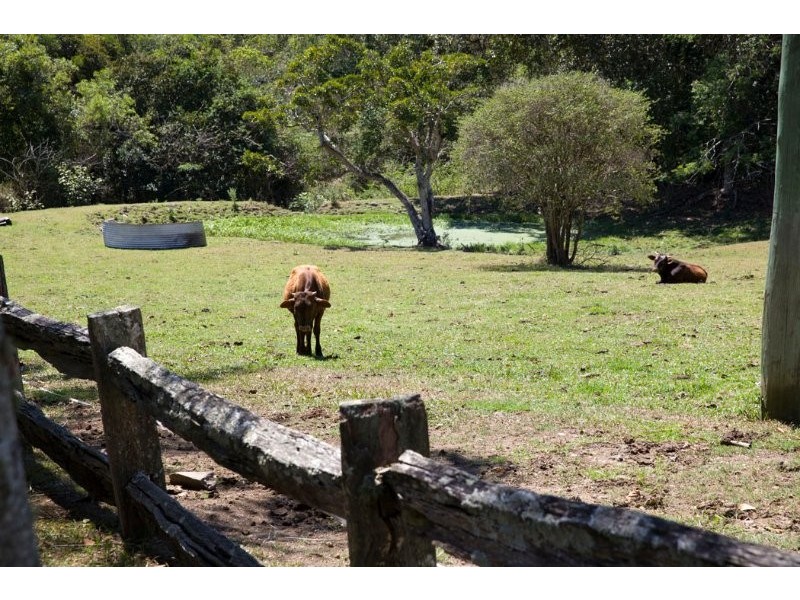 190 Paddy Melon Lane, Belli Park QLD 4562