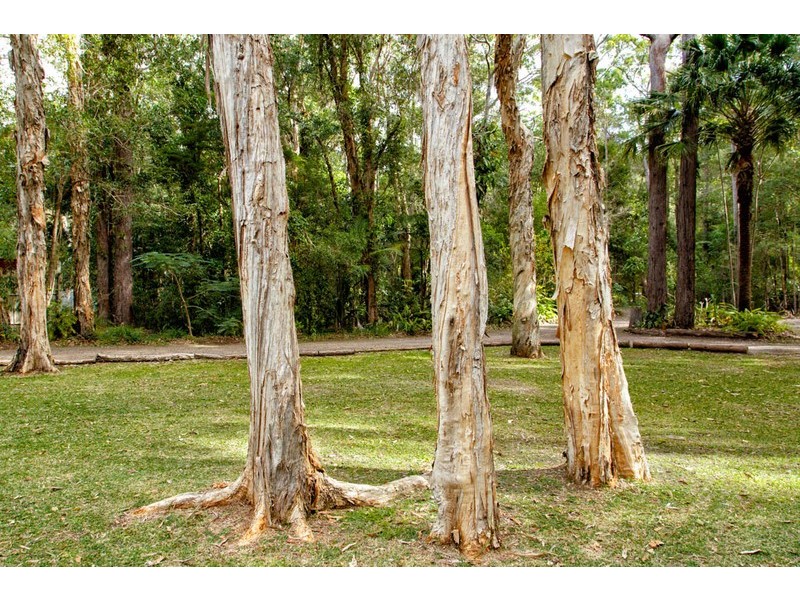 87 Parkdale Road, Doonan QLD 4562