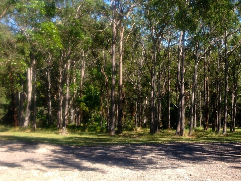 250 Yandina Bli Bli Road, Yandina QLD 4561